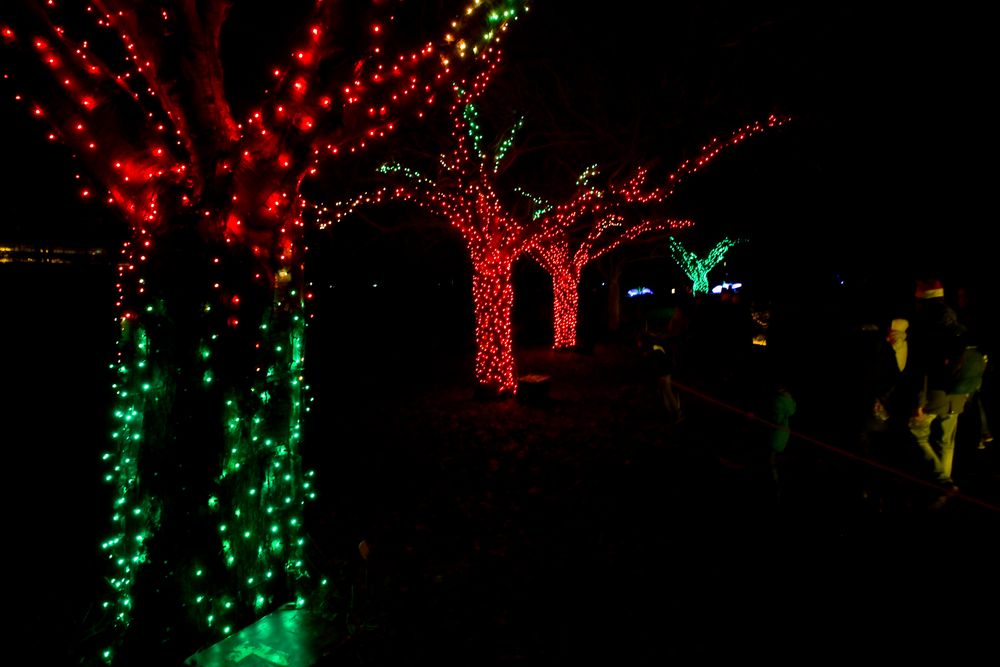 Christmas Garden Berlin 2017 - 03