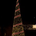 Christmas Garden Berlin 2017 - 04