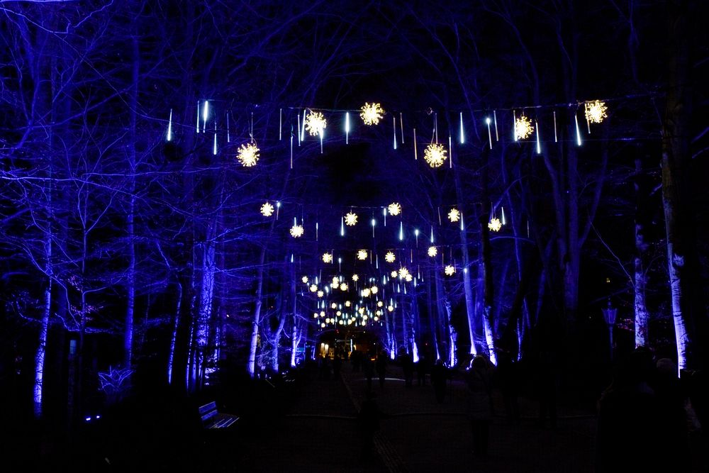Christmas Garden Berlin 2017 - 06