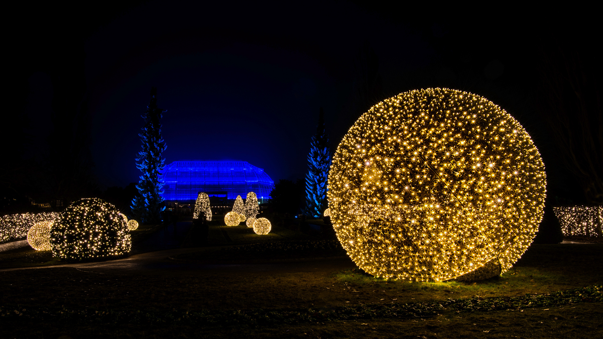 Christmas Garden Berlin   (3)