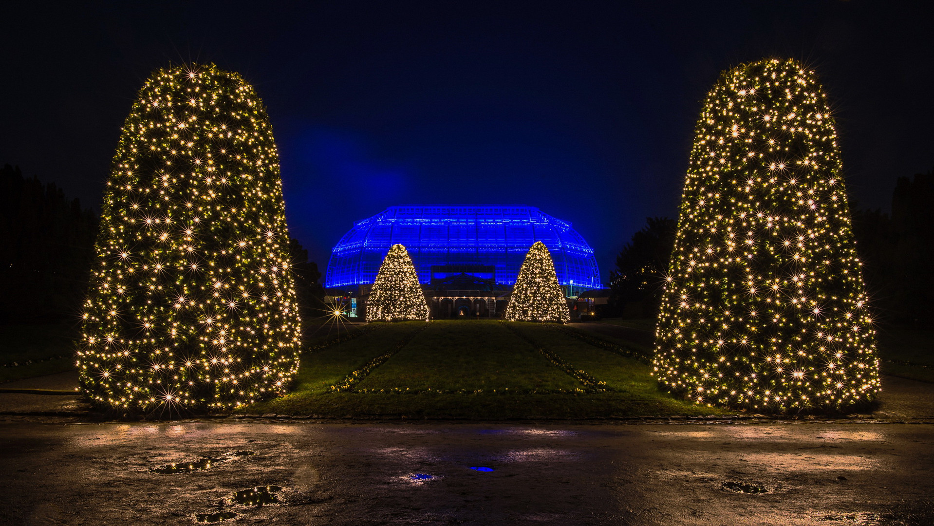 Christmas Garden Berlin (4)