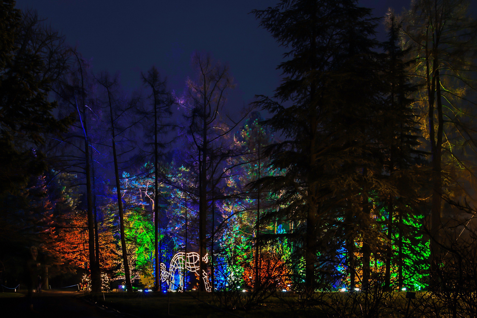 Christmas Garden Berlin   (6)