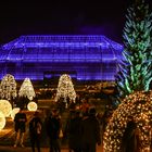 Christmas Garden Berlin IV