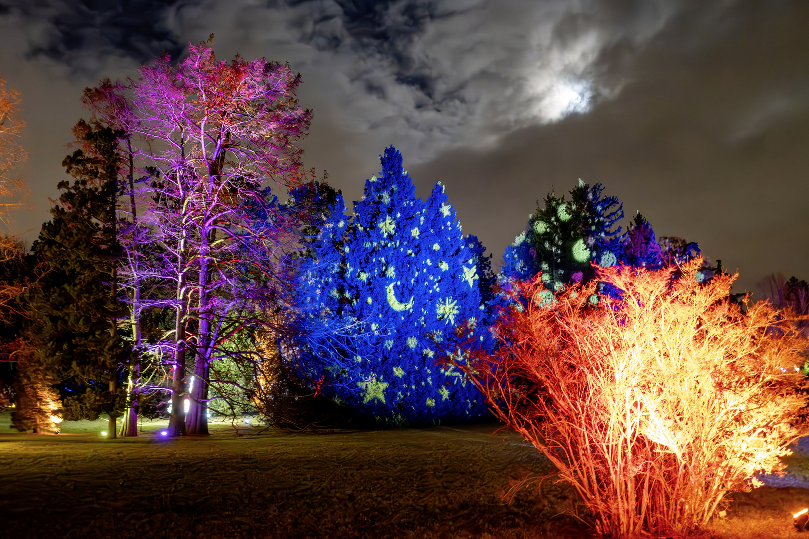 Christmas Garden, Botanischer Garten Berlin _1