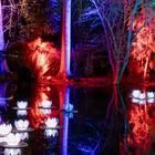 Christmas Garden, Botanischer Garten Berlin _ Mystische Seerosen