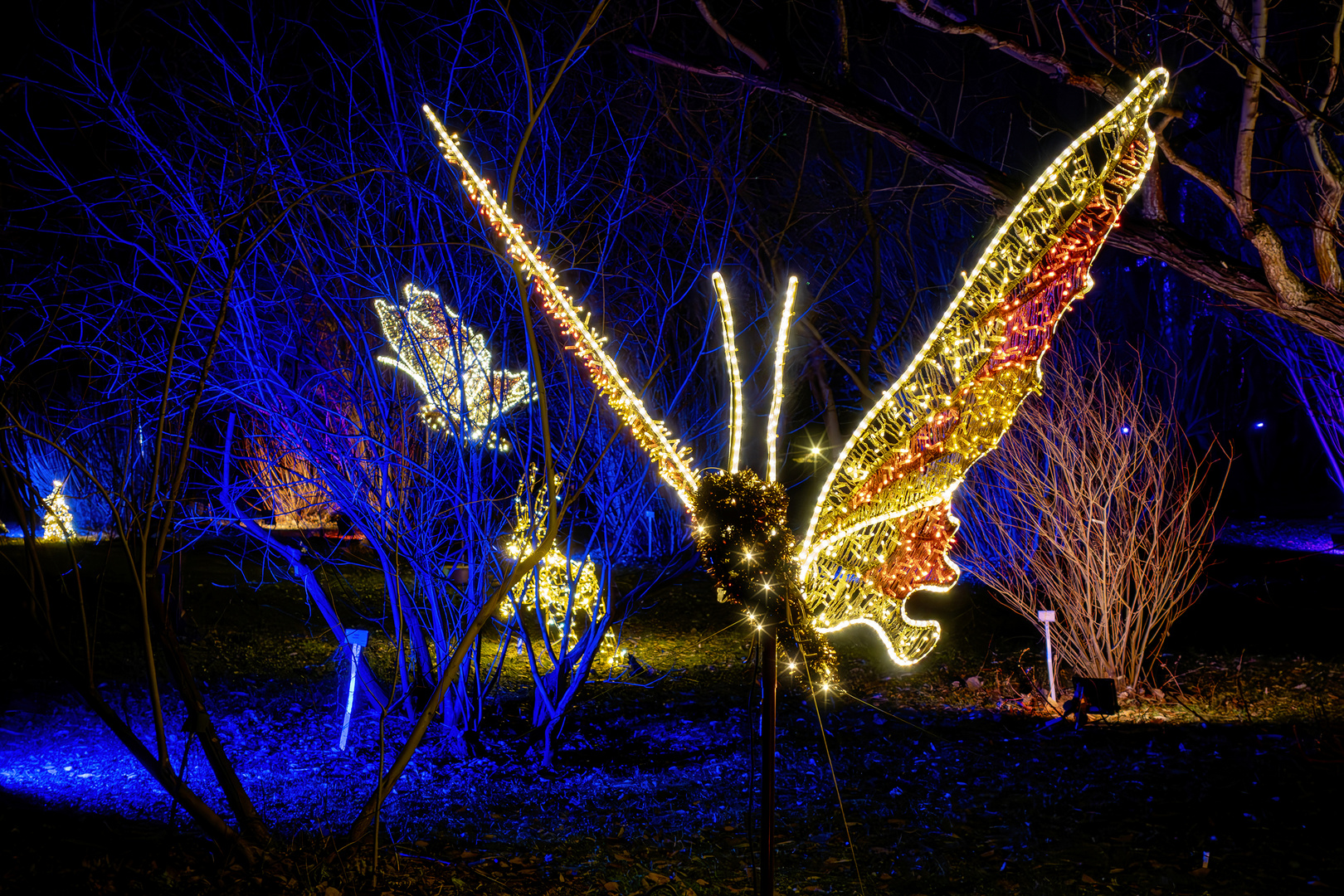 Christmas Garden, Botanischer Garten Berlin _ Schmetterlin