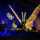 Christmas Garden, Botanischer Garten Berlin _ Schmetterlin