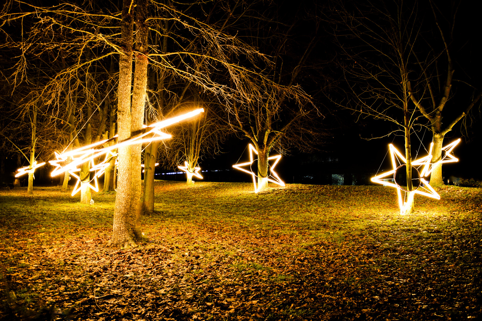 Christmas Garden 