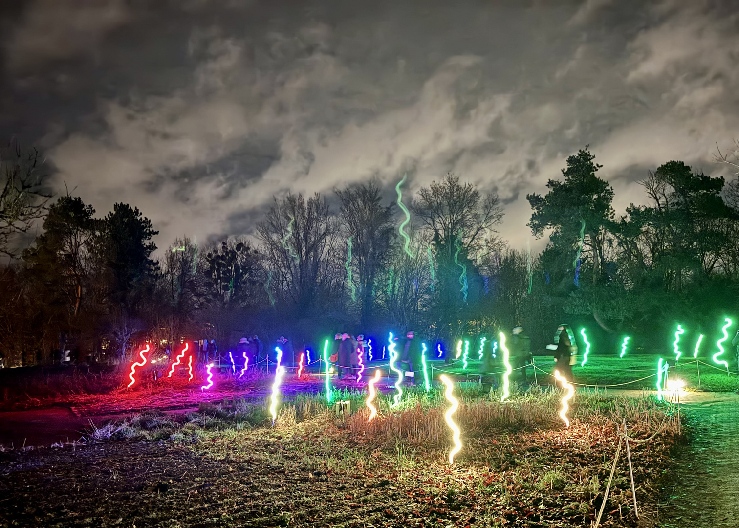 Christmas Garden 