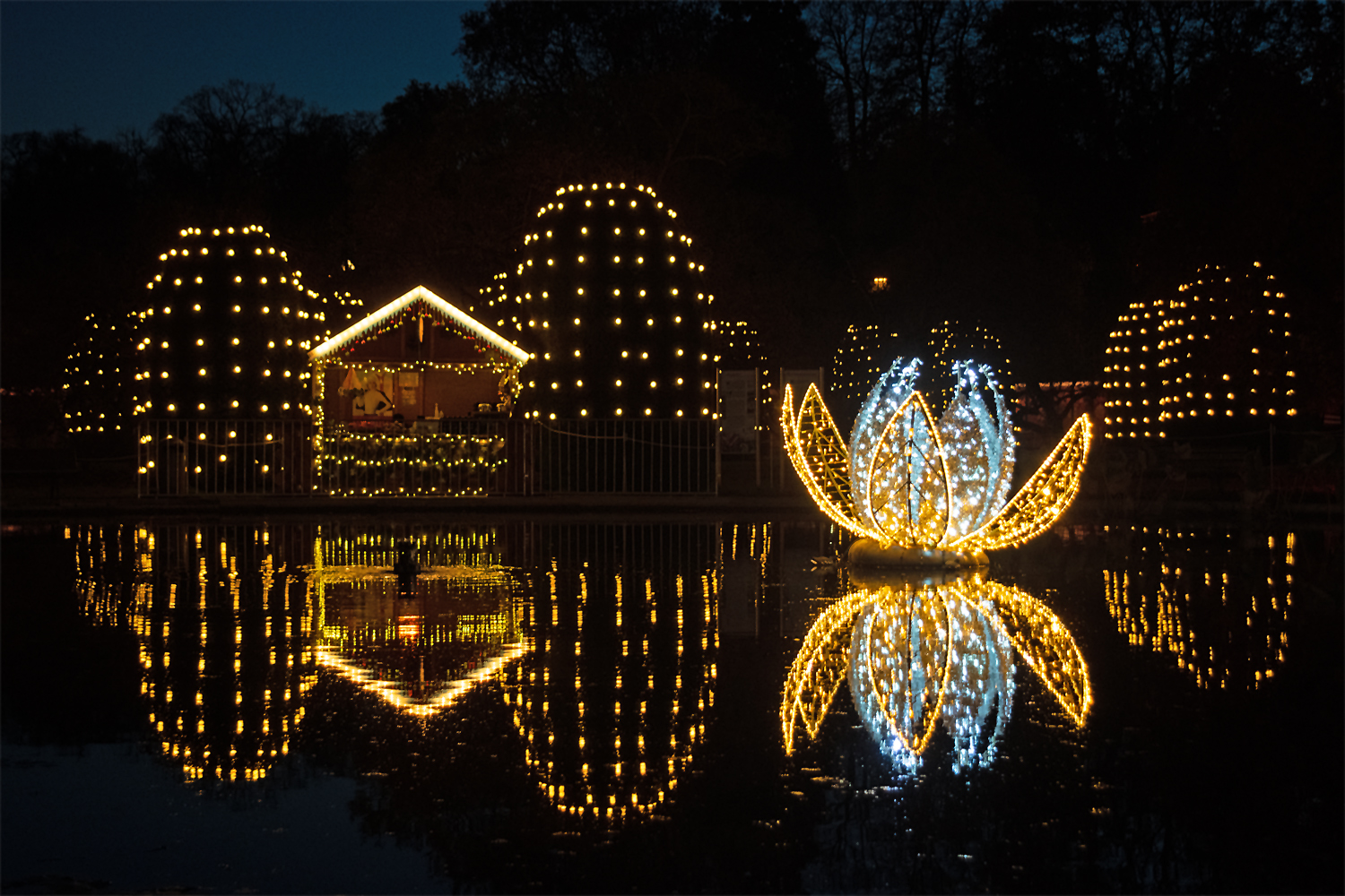 Christmas Garden