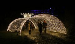 Christmas Garden Frankfurt