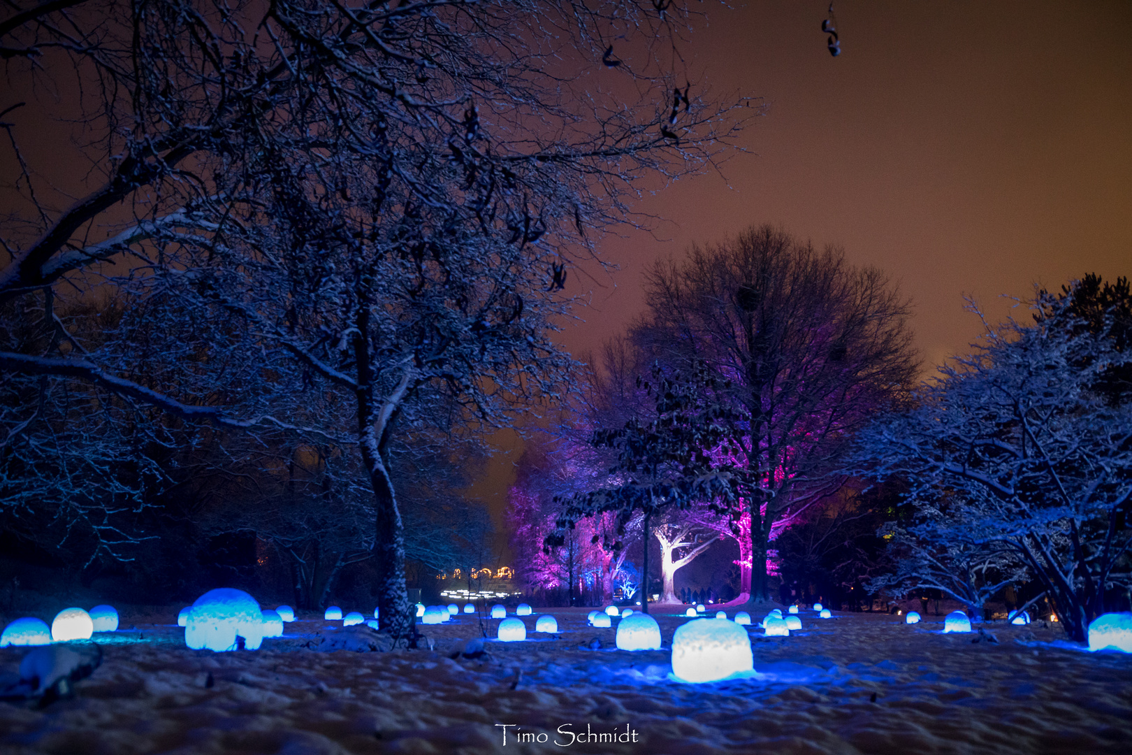 Christmas Garden Hamburg