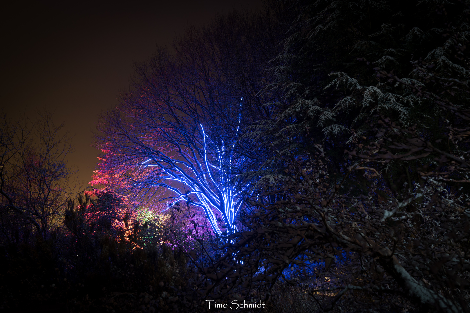 Christmas Garden Hamburg