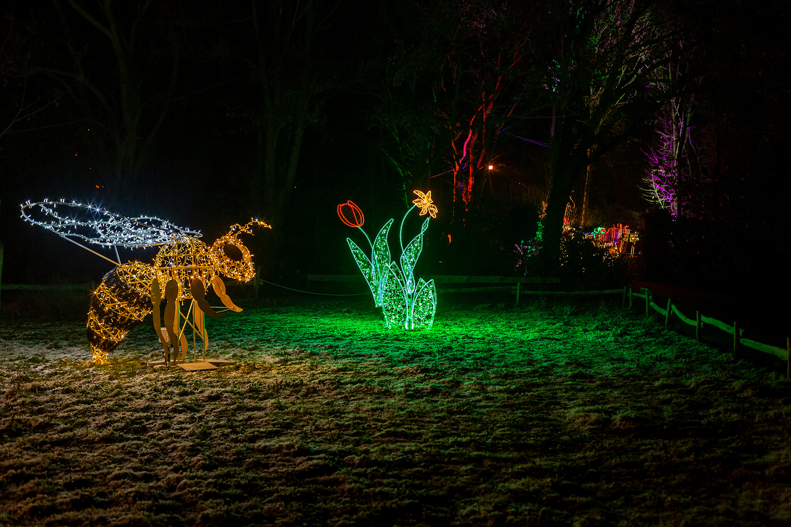 Christmas Garden im Erlebnis-Zoo von Hannover.