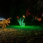 Christmas Garden im Erlebnis-Zoo von Hannover.