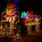 Christmas Garden im Erlebnis-Zoo von Hannover.