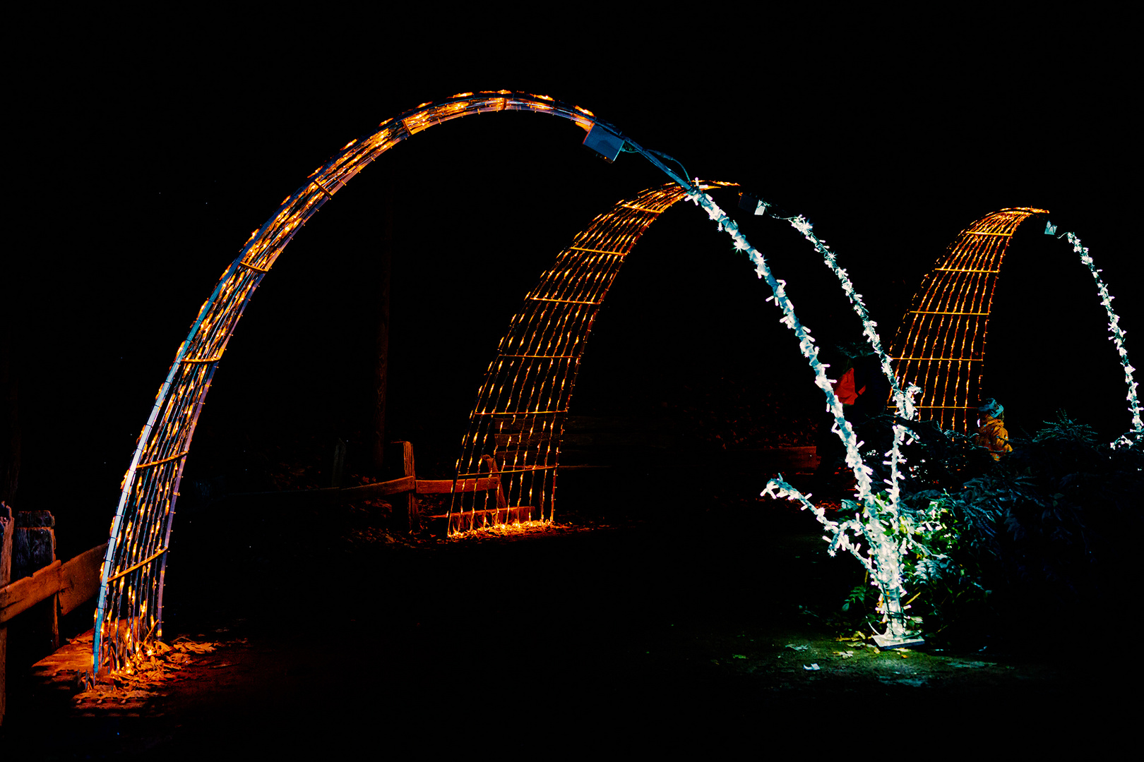 Christmas Garden im Erlebnis-Zoo von Hannover.