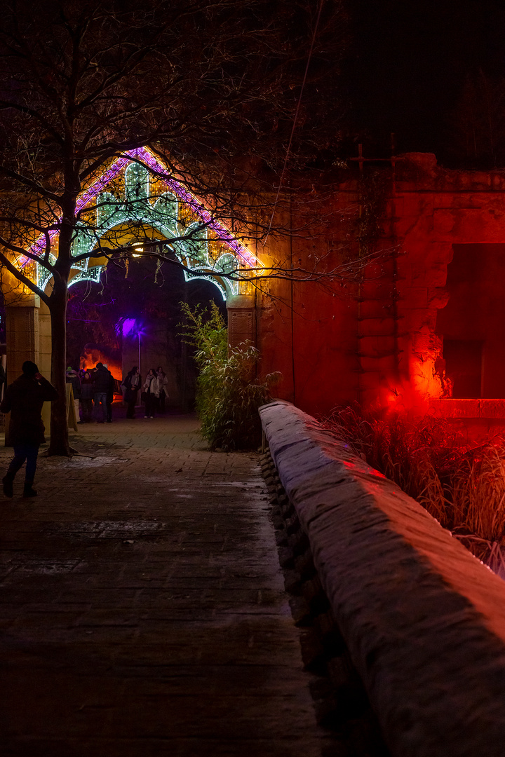 Christmas Garden im Erlebnis-Zoo von Hannover.