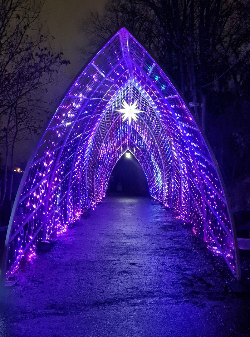 Christmas Garden im Erlebniszoo Hannover