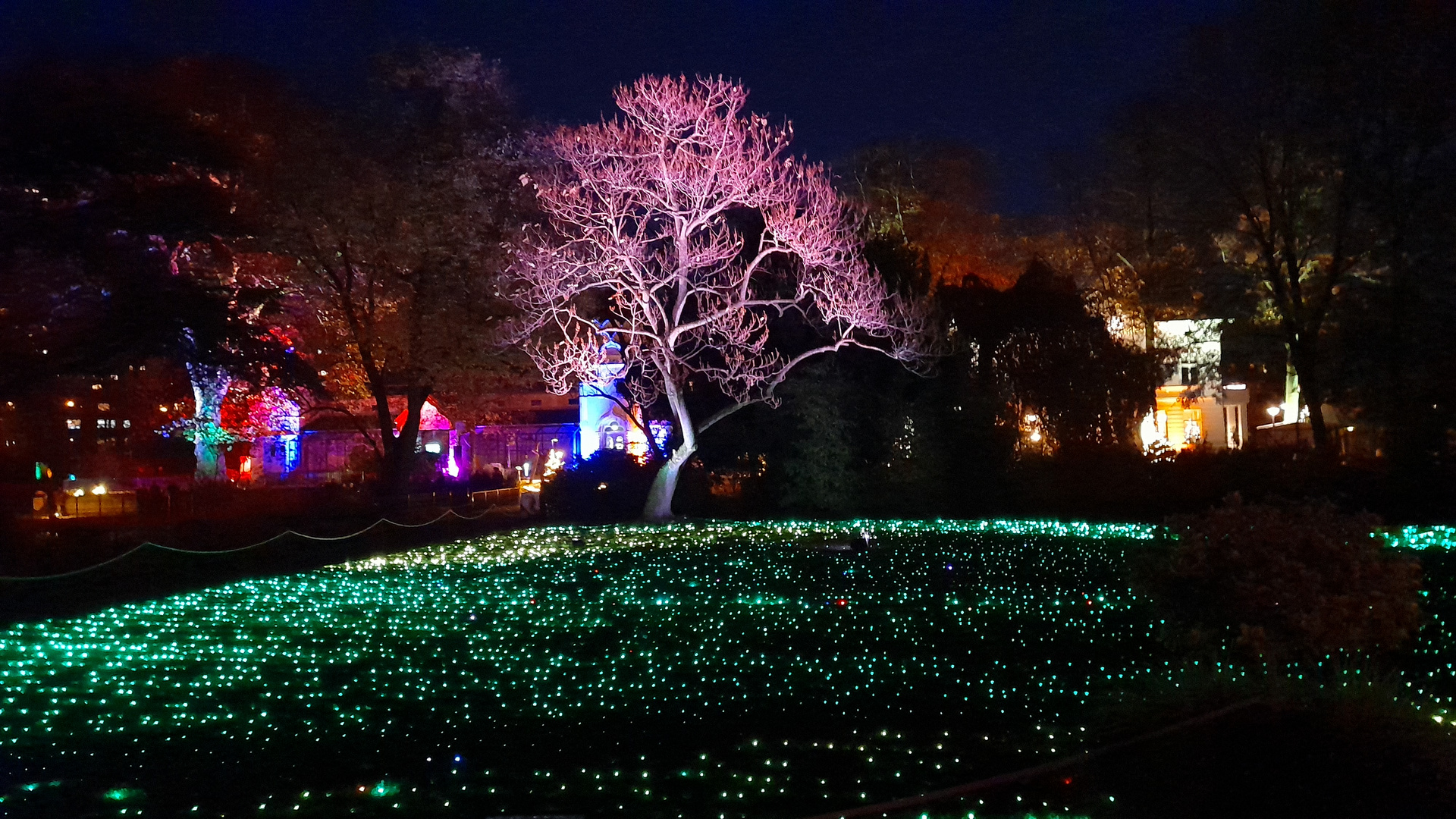 Christmas Garden im Kölner Zoo ..