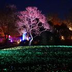 Christmas Garden im Kölner Zoo ..