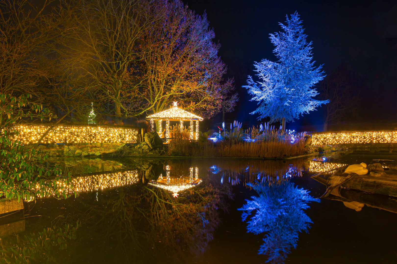 Christmas Garden in AllwetterZoo Münster