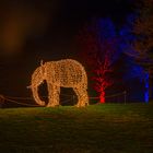 Christmas Garden in AllwetterZoo Münster