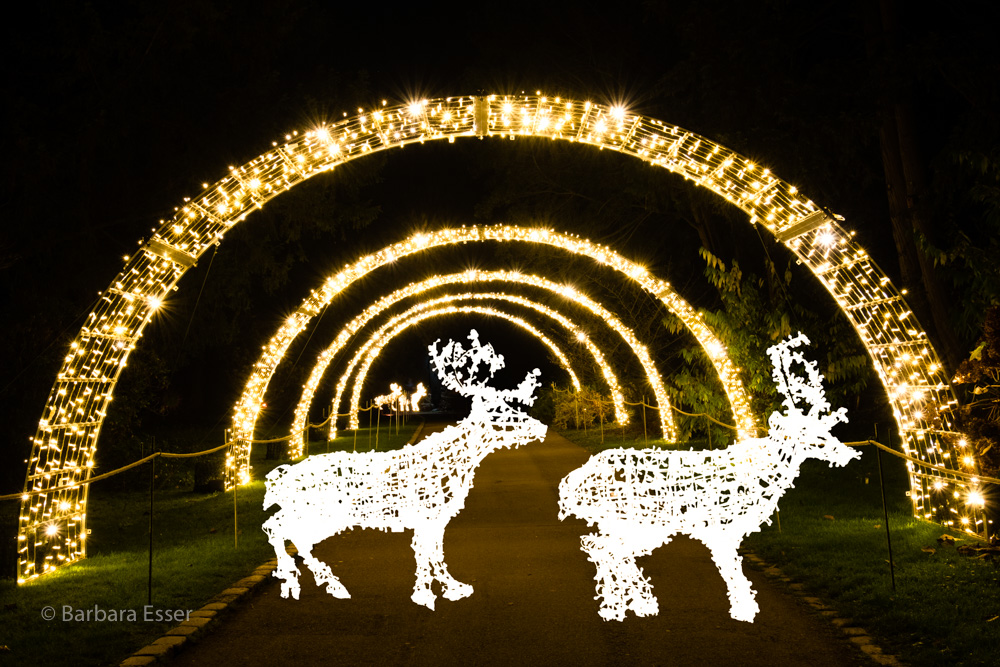 Christmas Garden in der Wilhelma, Stuttgart