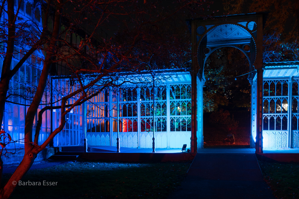 Christmas Garden in der Wilhelma, Stuttgart