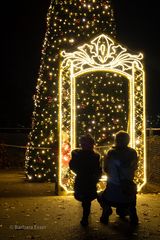 Christmas Garden in der Wilhelma, Stuttgart