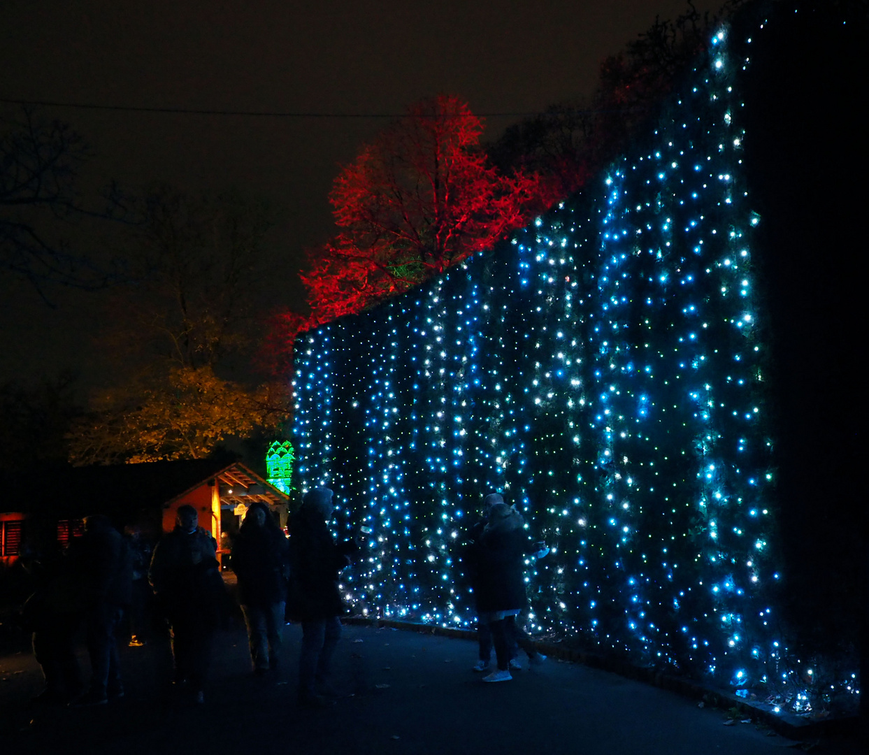 Christmas garden… Kölner Zoo … 