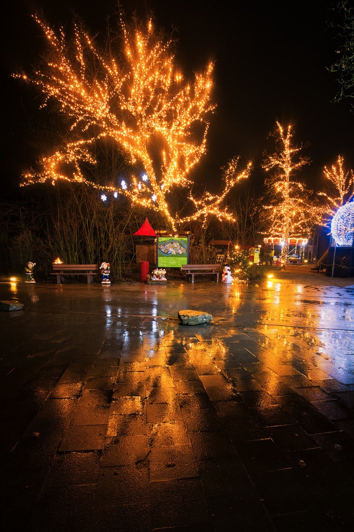 Christmas Garden Münster