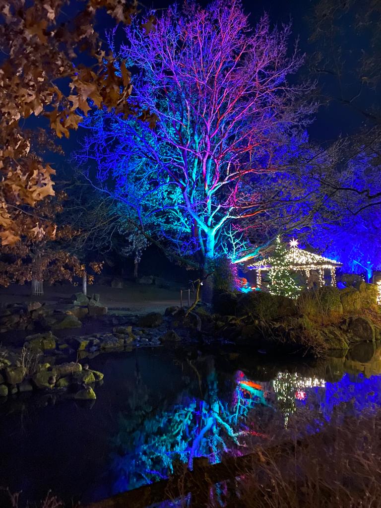 Christmas Garden Münster