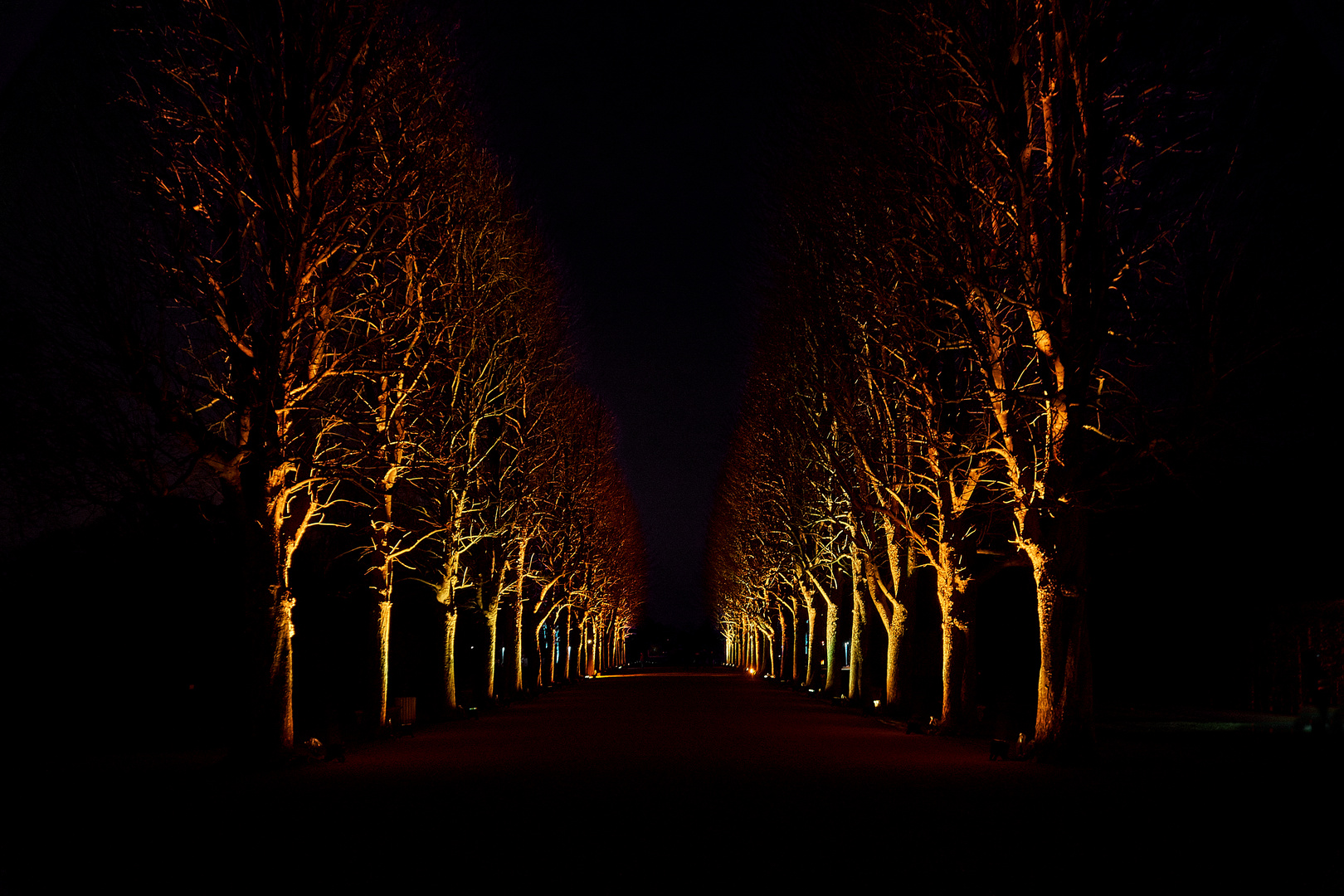 Christmas Garden, Pillnitz