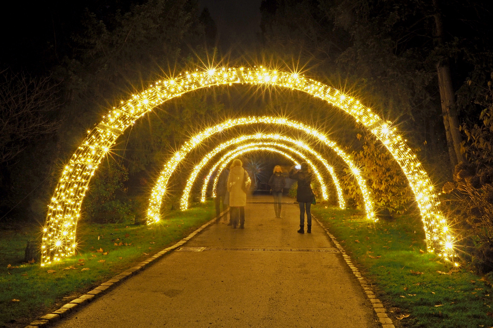 Christmas Garden Wilhelma Stuttgart