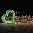 Christmas Garden Winterlichter