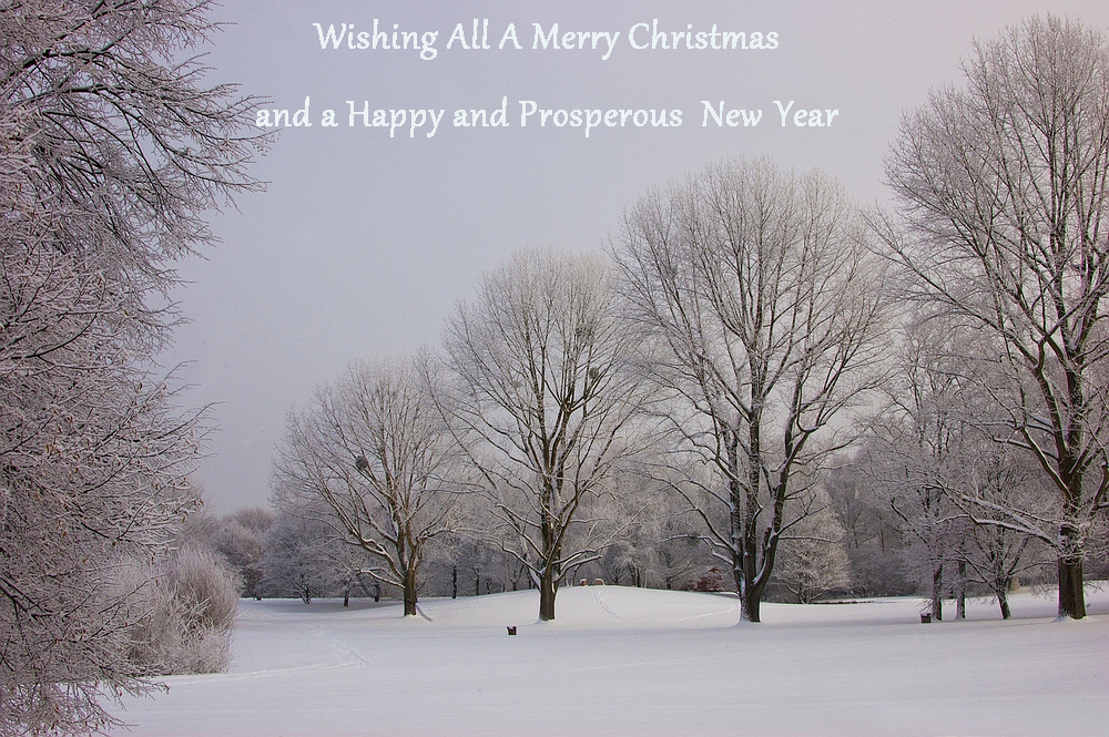 Christmas Greetings