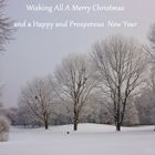 Christmas Greetings