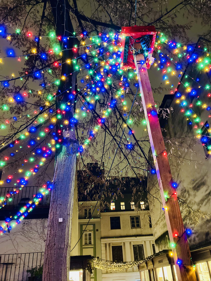 Christmas market in Vienna