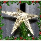 Christmas star