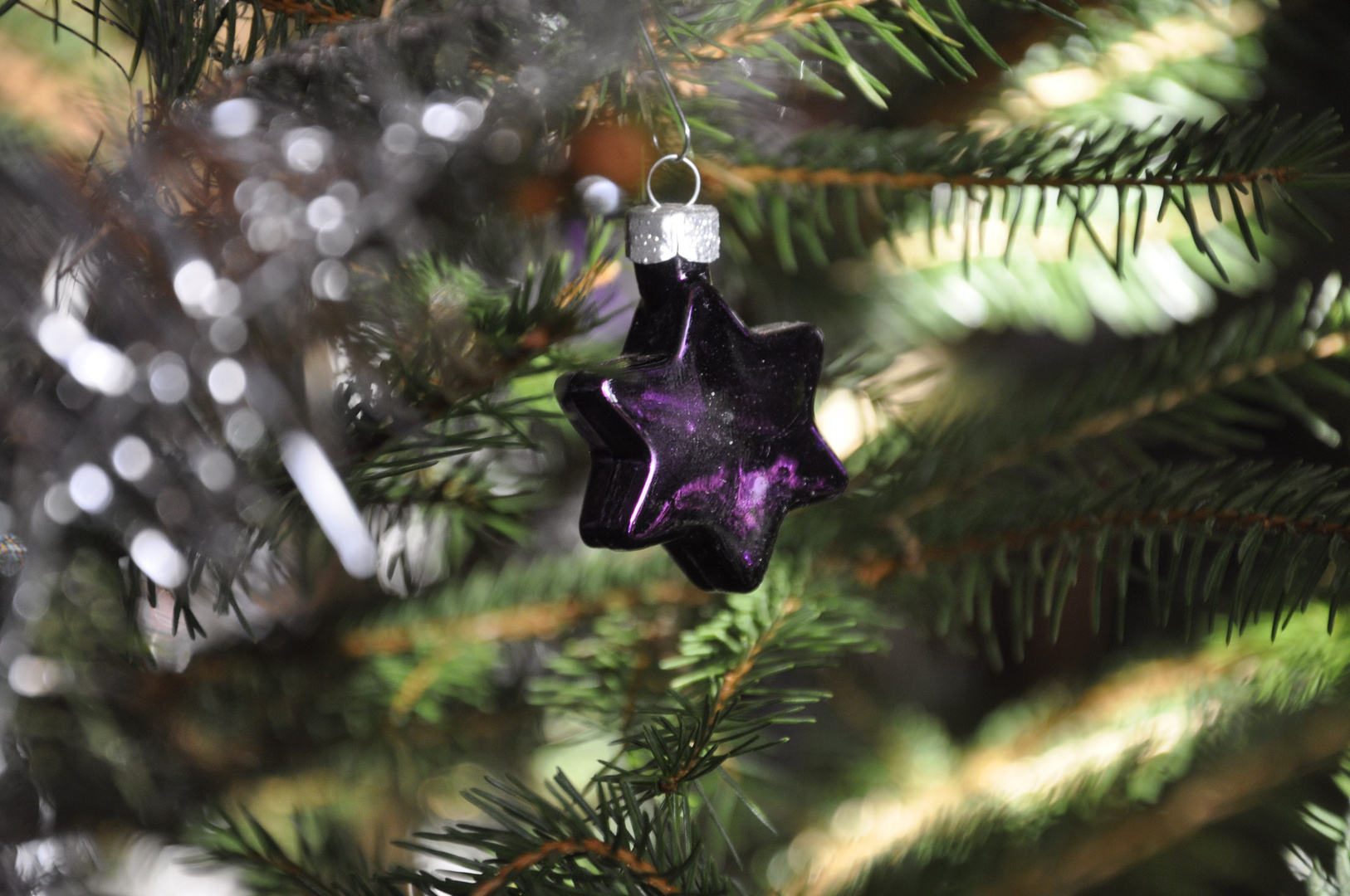 christmas star on tree