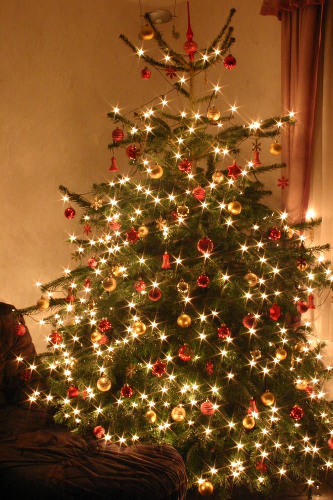 Christmas Tree 2004