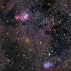 Christmas Tree Cluster & Dreyer's Nebula