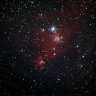 Christmas Tree Cluster (NGC2264)