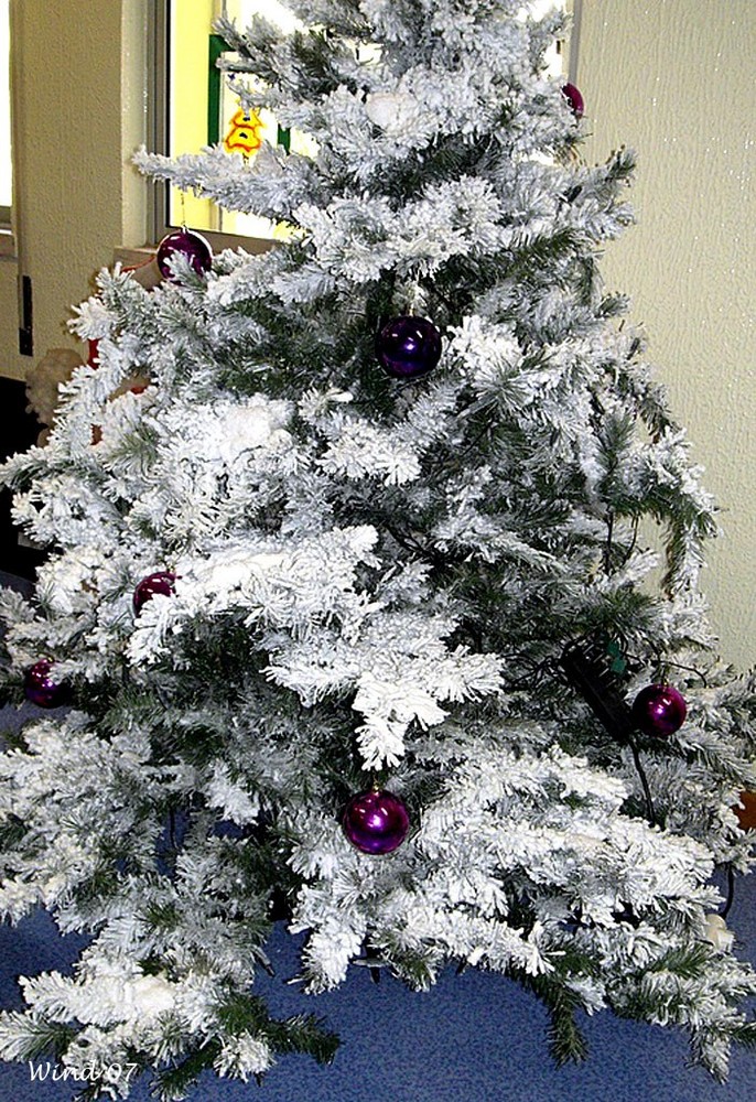 Christmas tree with snow