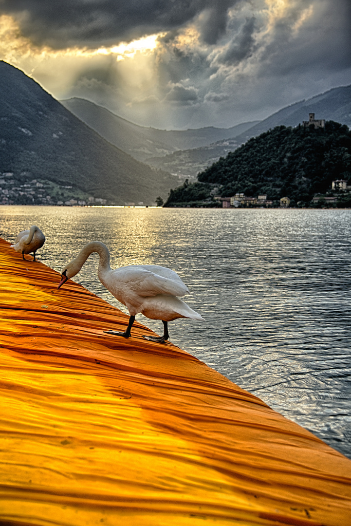 Christo: Floating Piers