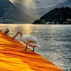 Christo: Floating Piers