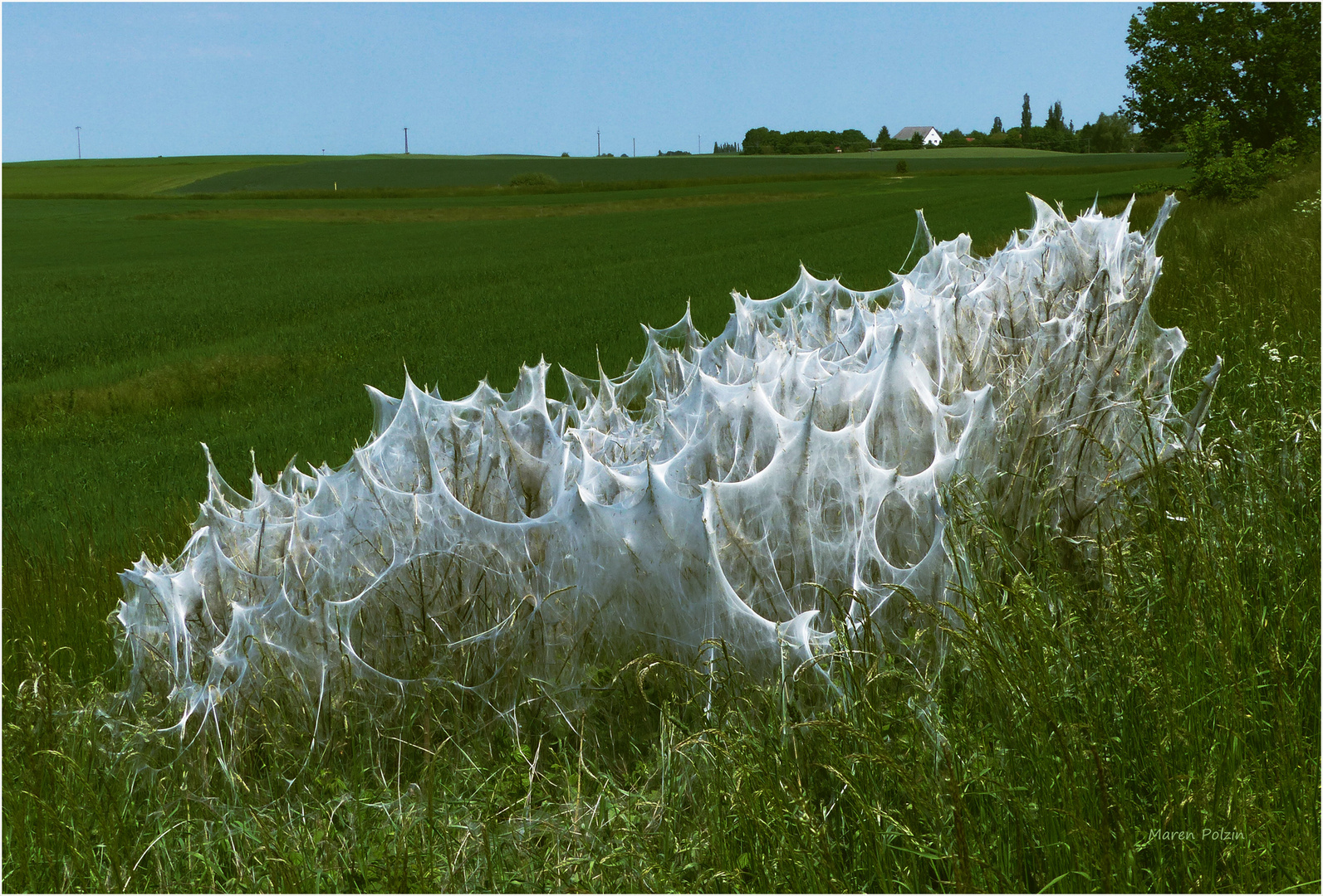 Christo und Jeanne-Claude