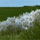 Christo und Jeanne-Claude