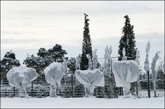 Christo und Jeanne-Claude lassen grüßen